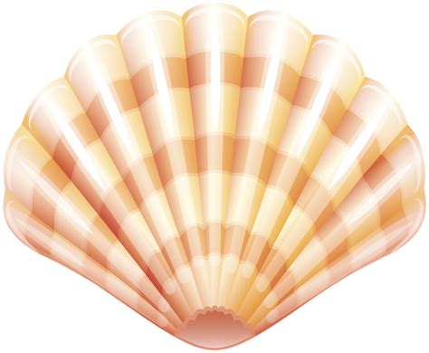 clip art clam|free clam shell clip art.